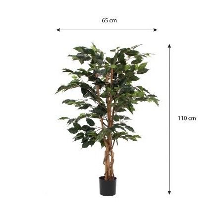 Ficus groen in plastic pot - h110xd65cm