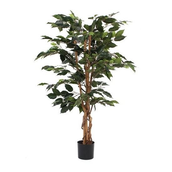 Ficus groen in plastic pot - h110xd65cm