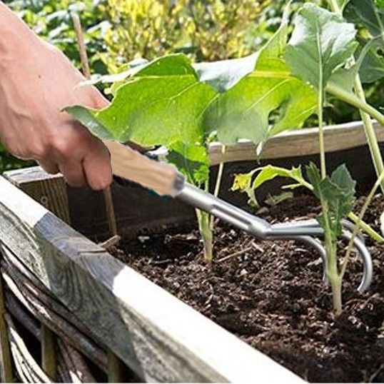 Handkrabbertje 3 tanden Verzinkt staal Essenhouten handvat