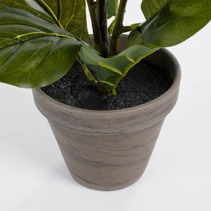 Kunstplant Ficus Lyrata in pot Stan