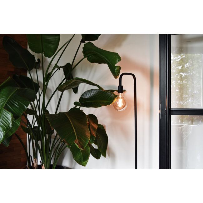 Calex U-line Floor lamp Black, height 155 cm incl.180 cm cable