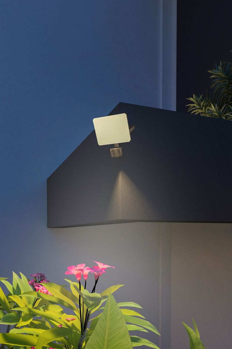 Smart frameless light with motion sensor