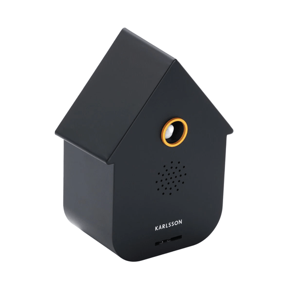 Sound box Modern Cuckoo black