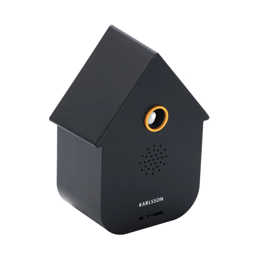 Sound box Modern Cuckoo black