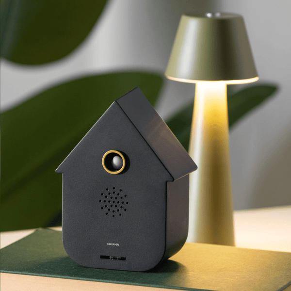 Sound box Modern Cuckoo black