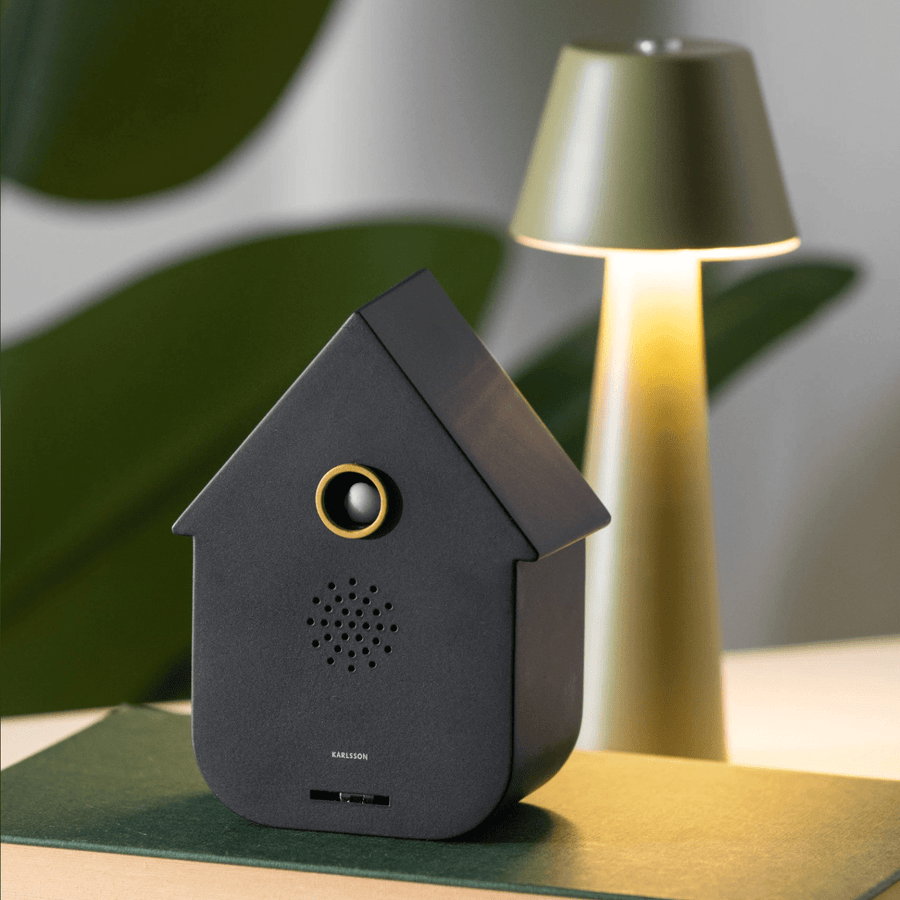 Sound box Modern Cuckoo black