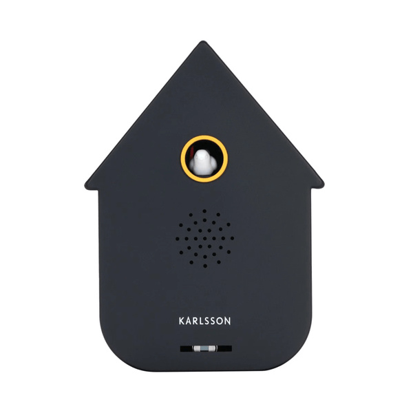 Sound box Modern Cuckoo black