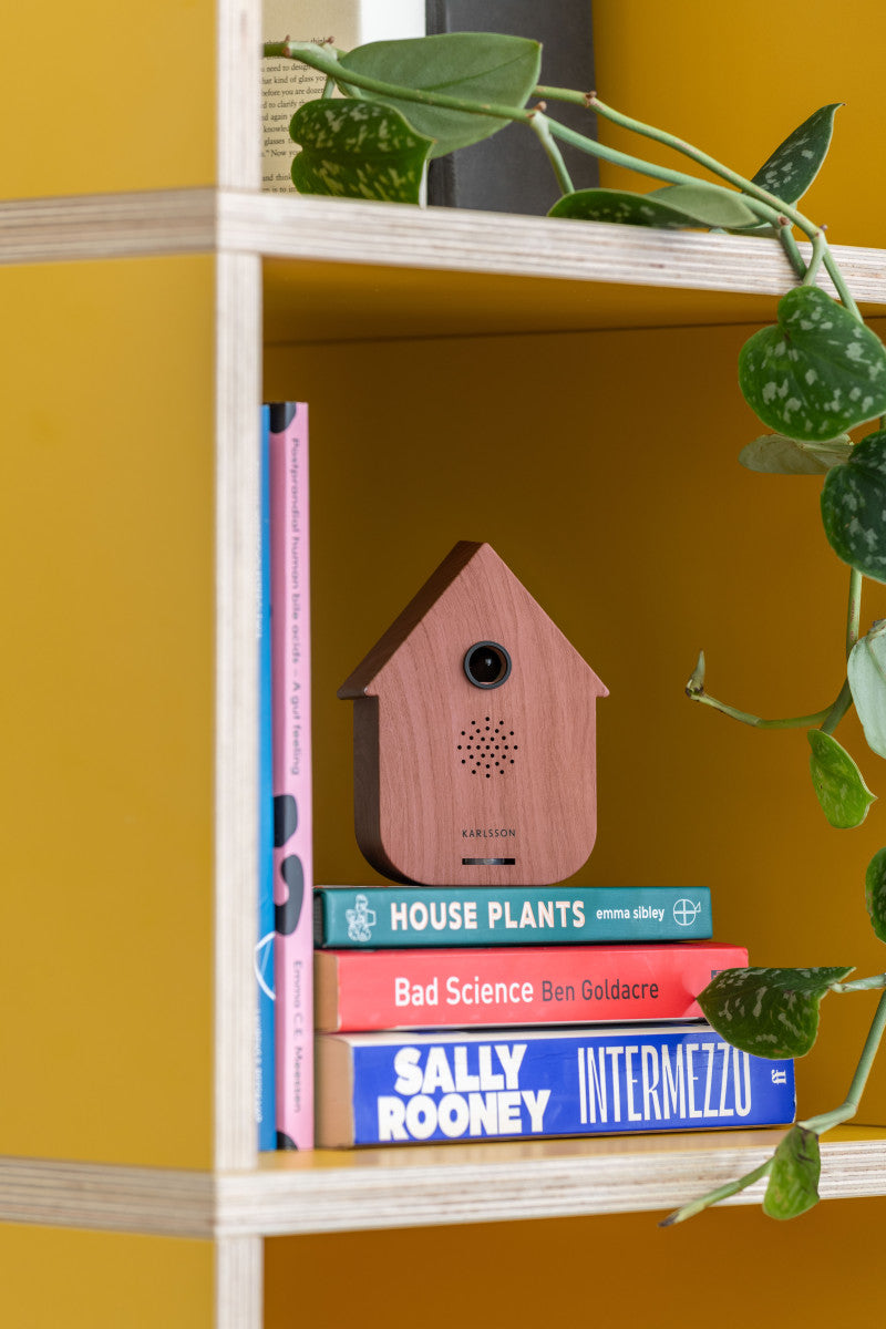 Soundbox Modern Cuckoo donker hout