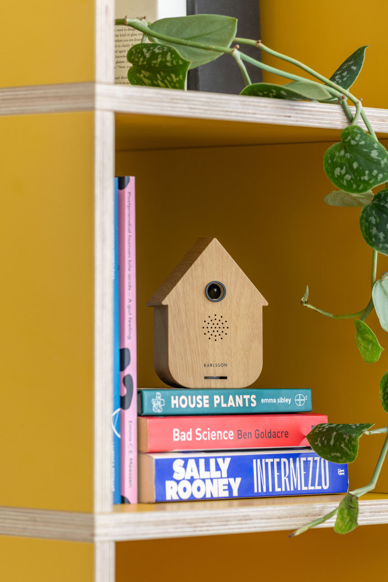 Soundbox Modern Cuckoo licht hout