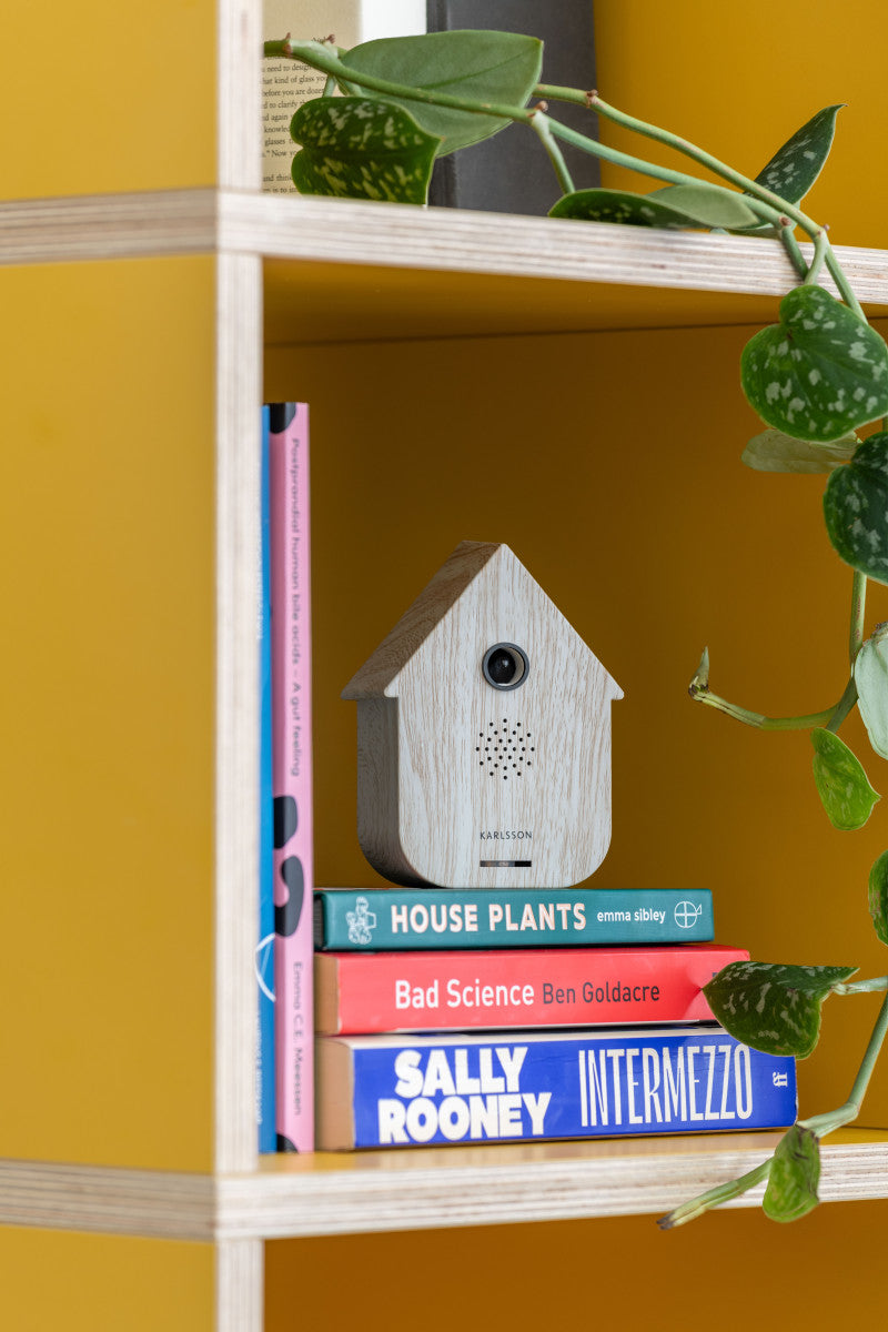 Soundbox Modern Cuckoo wit