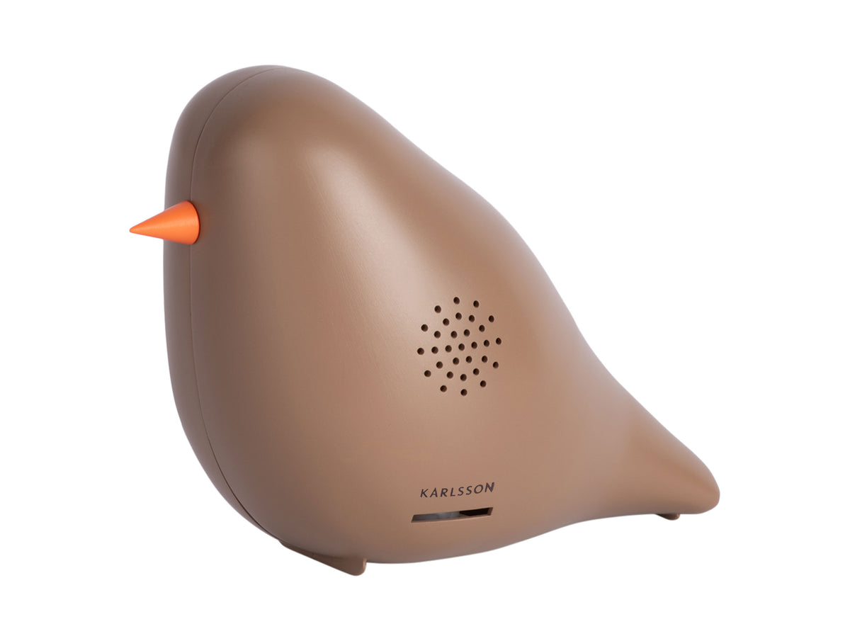 Sound Box Bird bruin