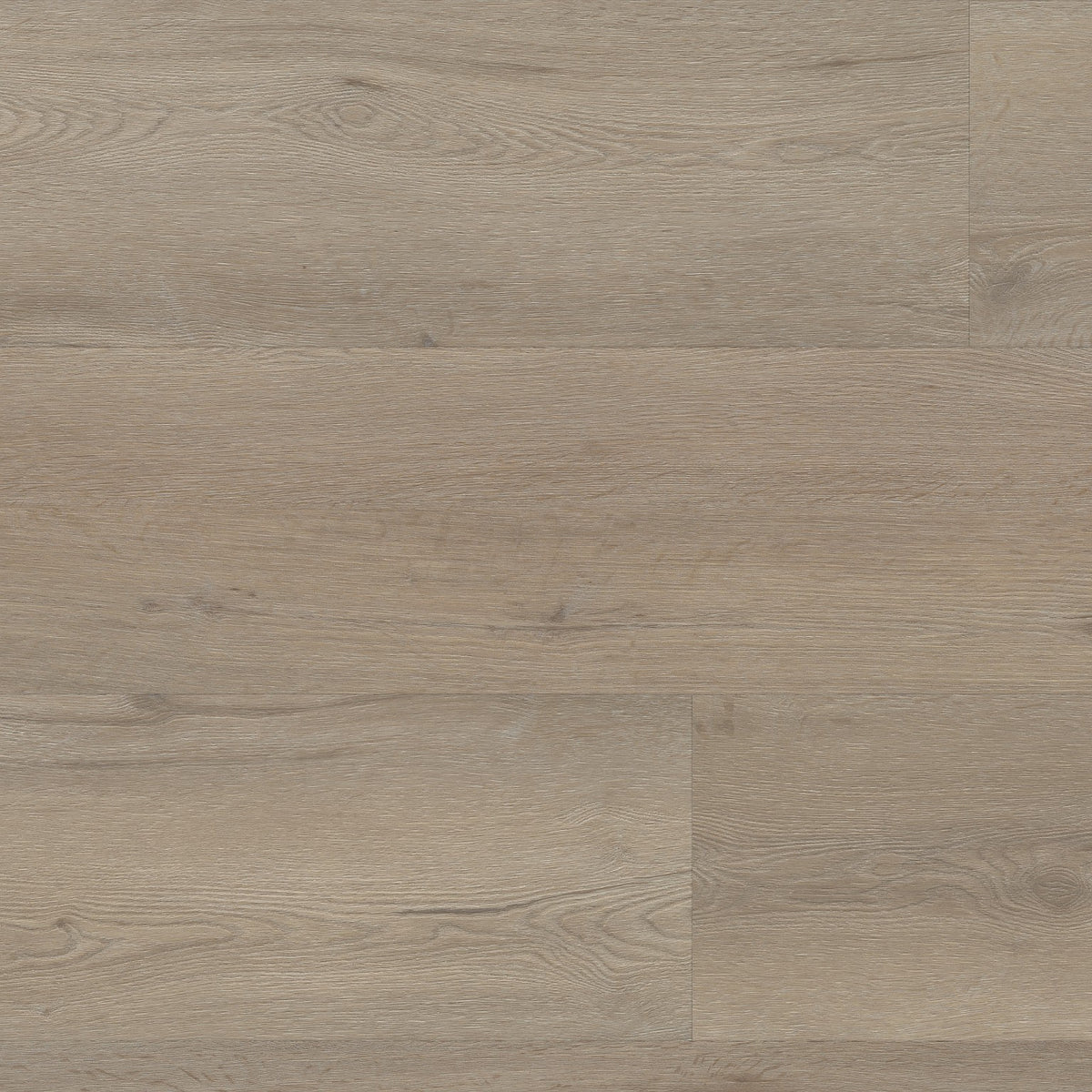 Vivero click SRC Light Oak ( 1,37 m2 per pak )