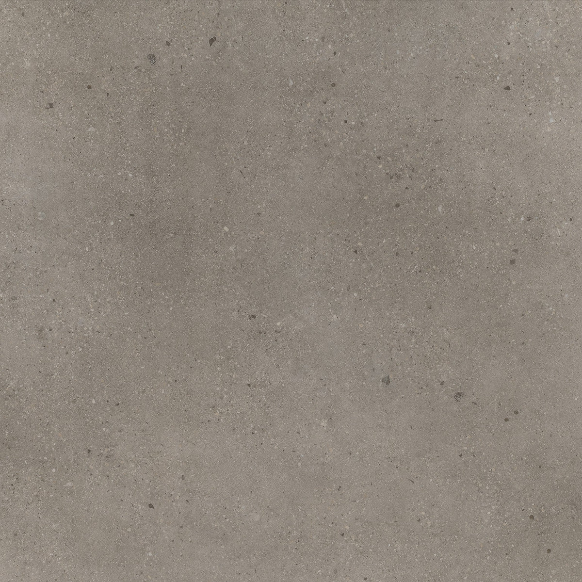 PVC VT Wonen  Composite warm grey dryback (91,4x91,4)  a 5,0123 m² per pak