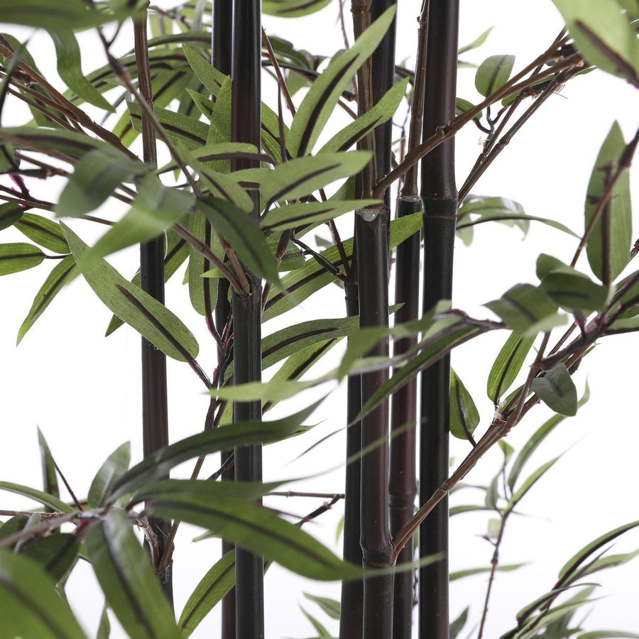 Bamboe groen in plastic pot - h120xd75cm