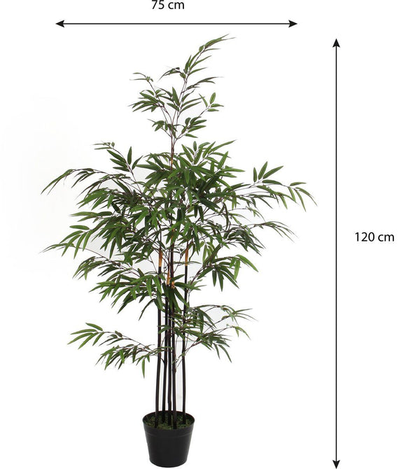 Bamboe groen in plastic pot - h120xd75cm