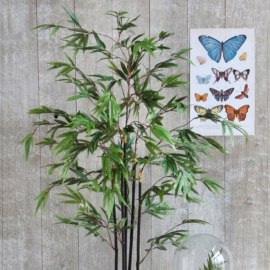 Bamboe groen in plastic pot - h120xd75cm