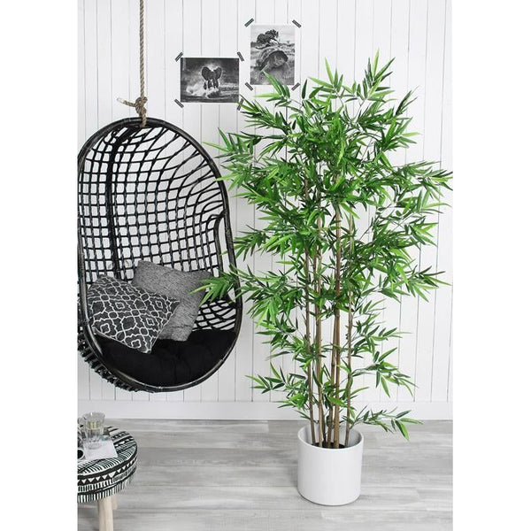 Bamboe groen in plastic pot - h120xd75cm