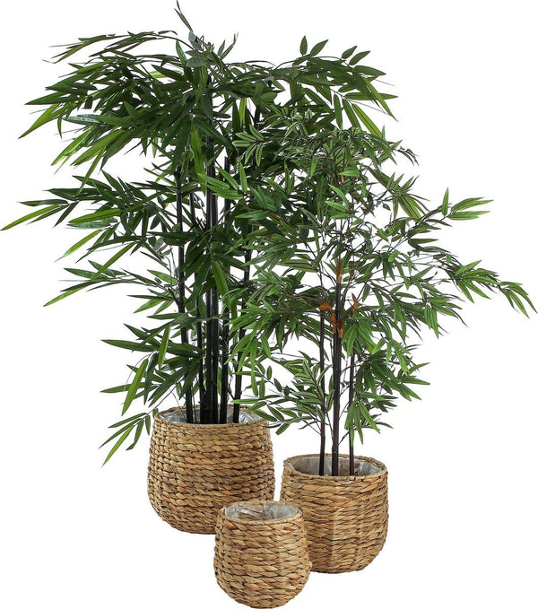 Bamboe groen in plastic pot - h120xd75cm