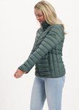 Jas Anne Balsam Green 38
