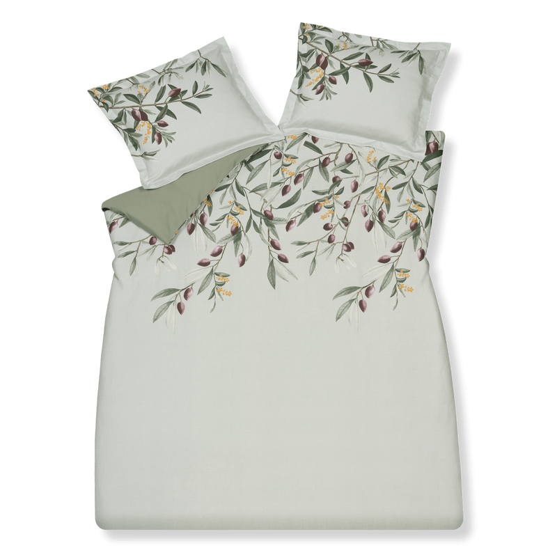 Olive Multi      000 Lits-jumeaux (240x200/220 + 2 slopen)