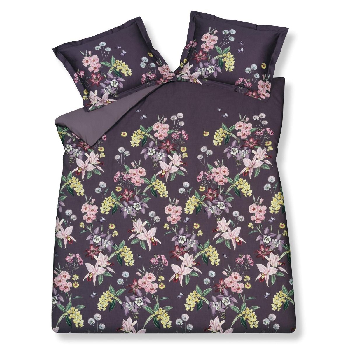 Noir garden Multi      000 2-persoons (200x200/220 + 2 slopen)