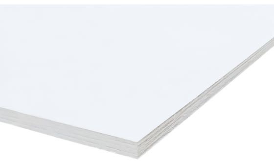 Garantieplaat gegrond 2500x1220x12mm