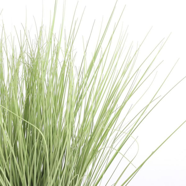 Grass