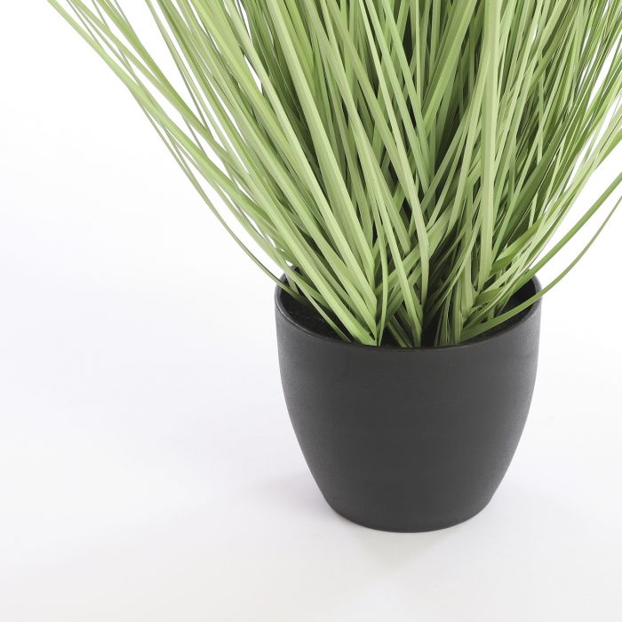 Grass