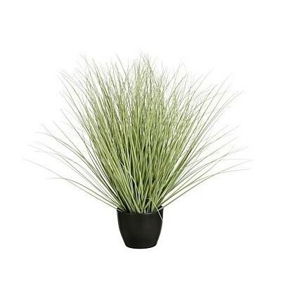 Grass