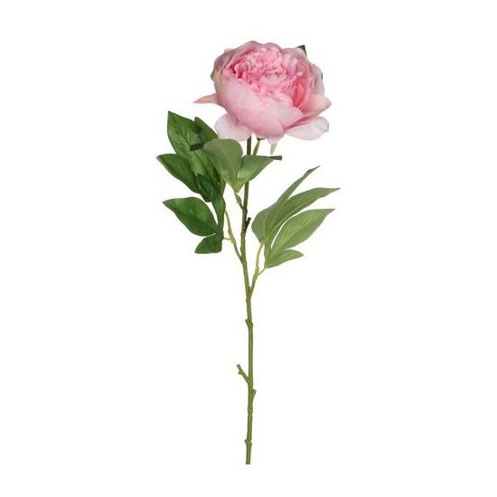 Peony roze - l76cm
