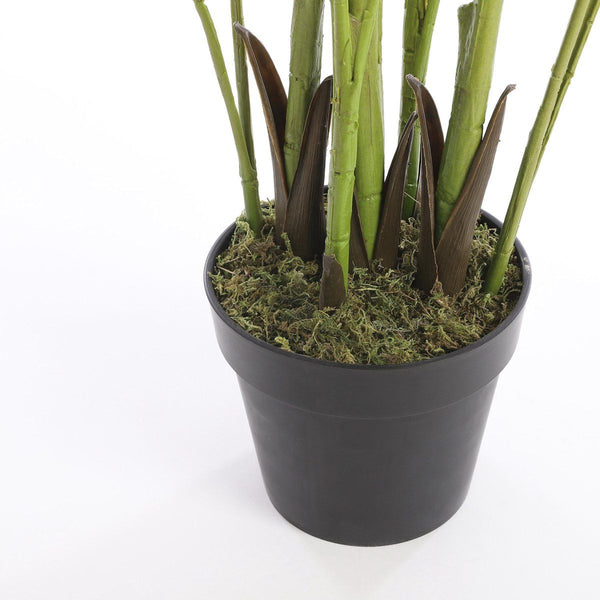 Areca palm in pot groen - h160xd80cm