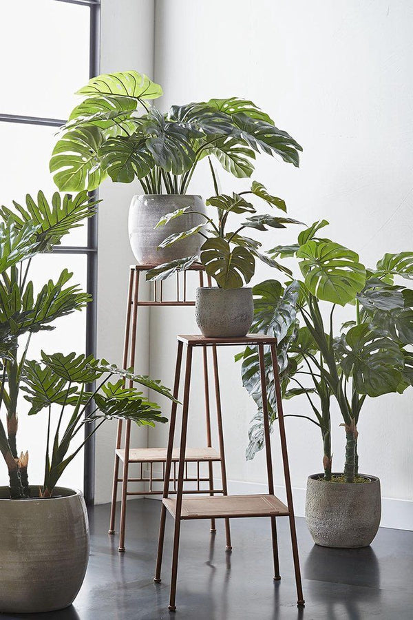 Philodendron in plastic pot groen - h100xd70cm