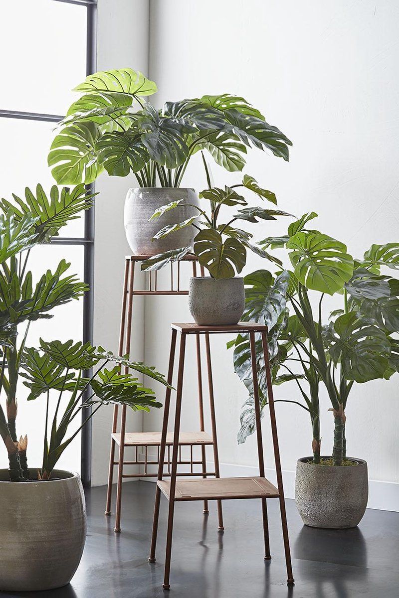 Philodendron in plastic pot groen - h100xd70cm