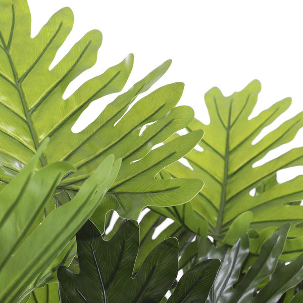 Philodendron in plastic pot groen - h100xd70cm