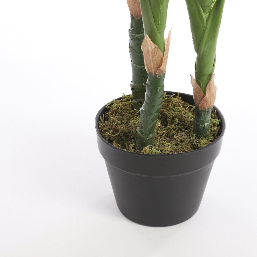 Philodendron in plastic pot groen - h100xd70cm