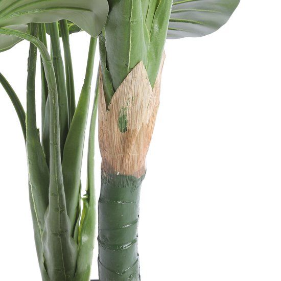 Taro in plastic pot groen - h90xd60cm