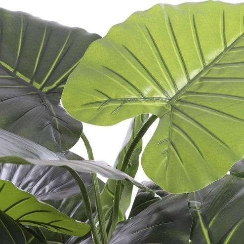 Taro in plastic pot groen - h90xd60cm