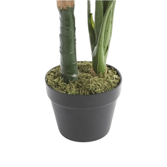 Taro in plastic pot groen - h90xd60cm