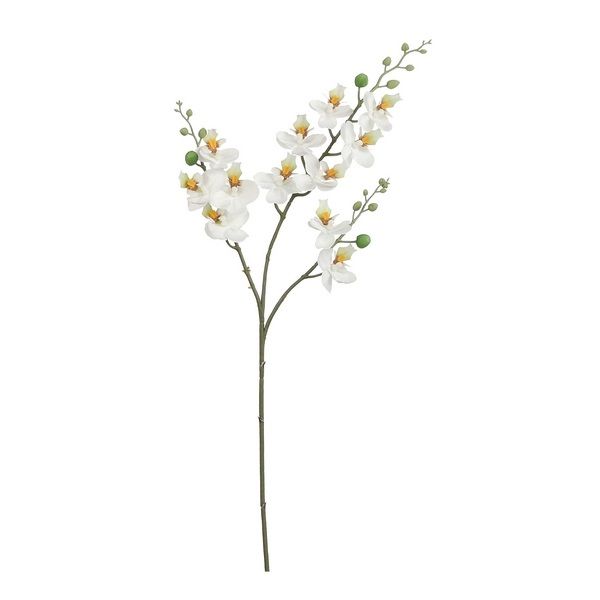 Phalaenopsis wit - l75cm