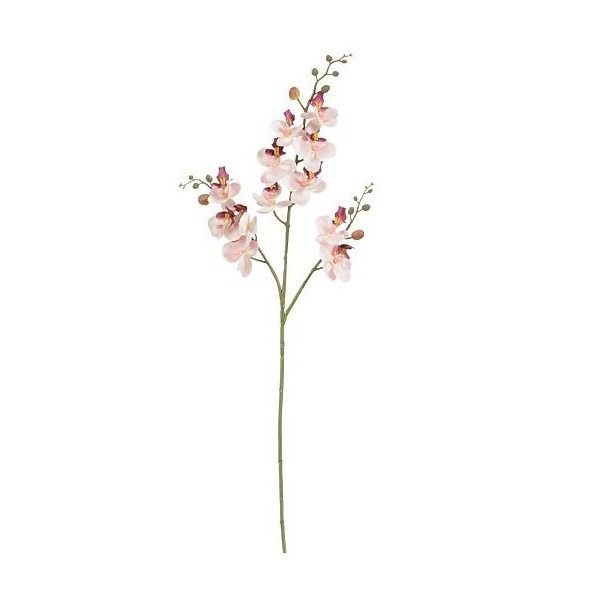 Phalaenopsis roze - l75cm