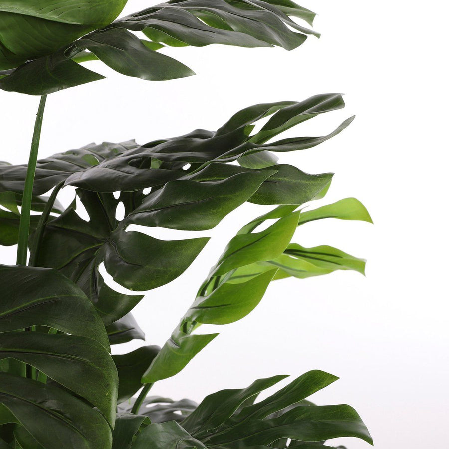 Monstera in pot groen - h100xd70cm