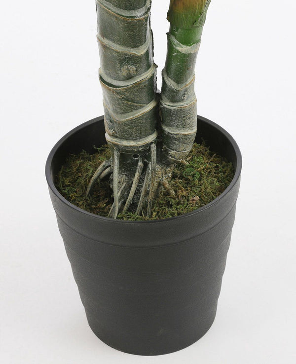 Monstera in pot groen - h100xd70cm