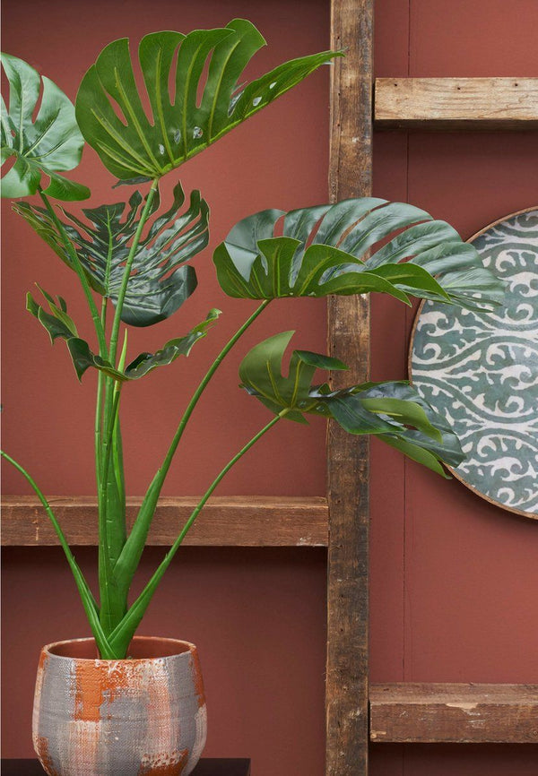 Monstera in pot groen - h100xd70cm