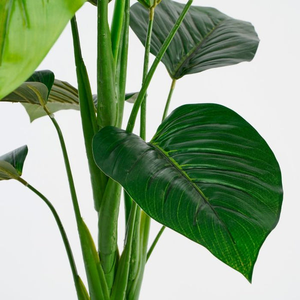 Philodendron in pot groen - h100xd70cm