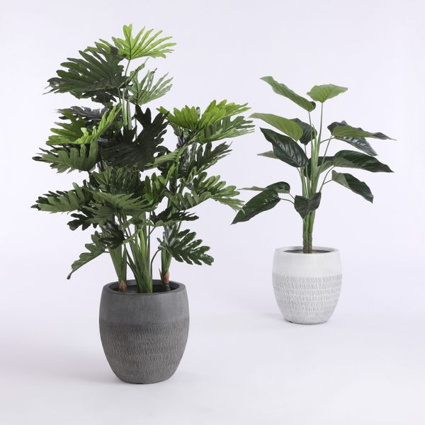 Philodendron in pot groen - h100xd70cm
