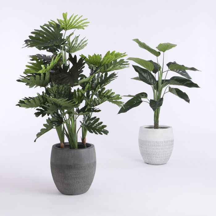 Philodendron in pot groen - h100xd70cm