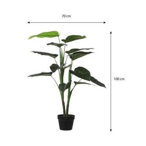 Philodendron in pot groen - h100xd70cm
