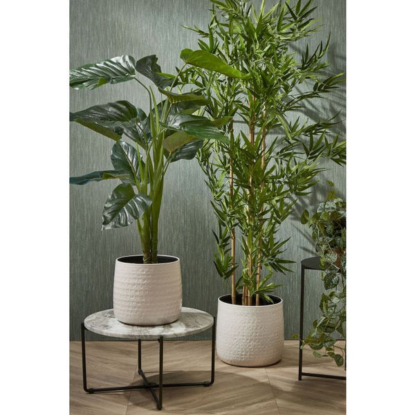 Philodendron in pot groen - h100xd70cm