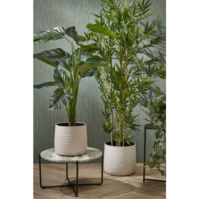 Philodendron in pot groen - h100xd70cm