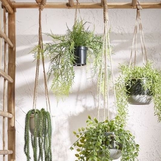 Varen hangend in pot groen - l43xd30cm